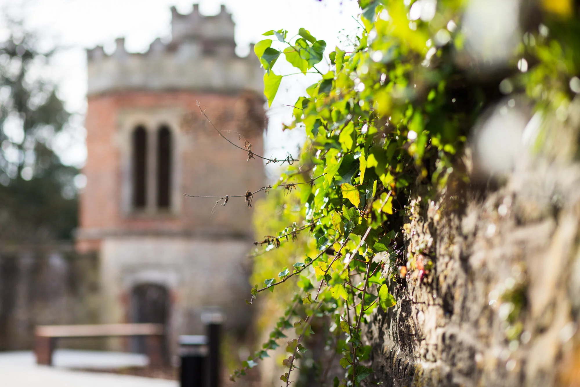 King’s School in Bruton, Somerset_architecture_tom_biddle_photography__-0026.jpg