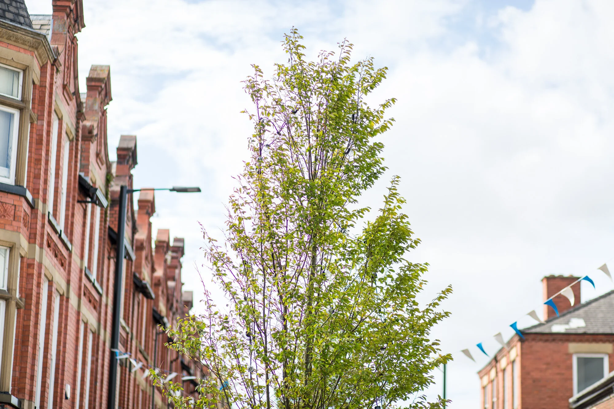 Leigh town centre_architecture_tom_biddle_photography__-0017.jpg
