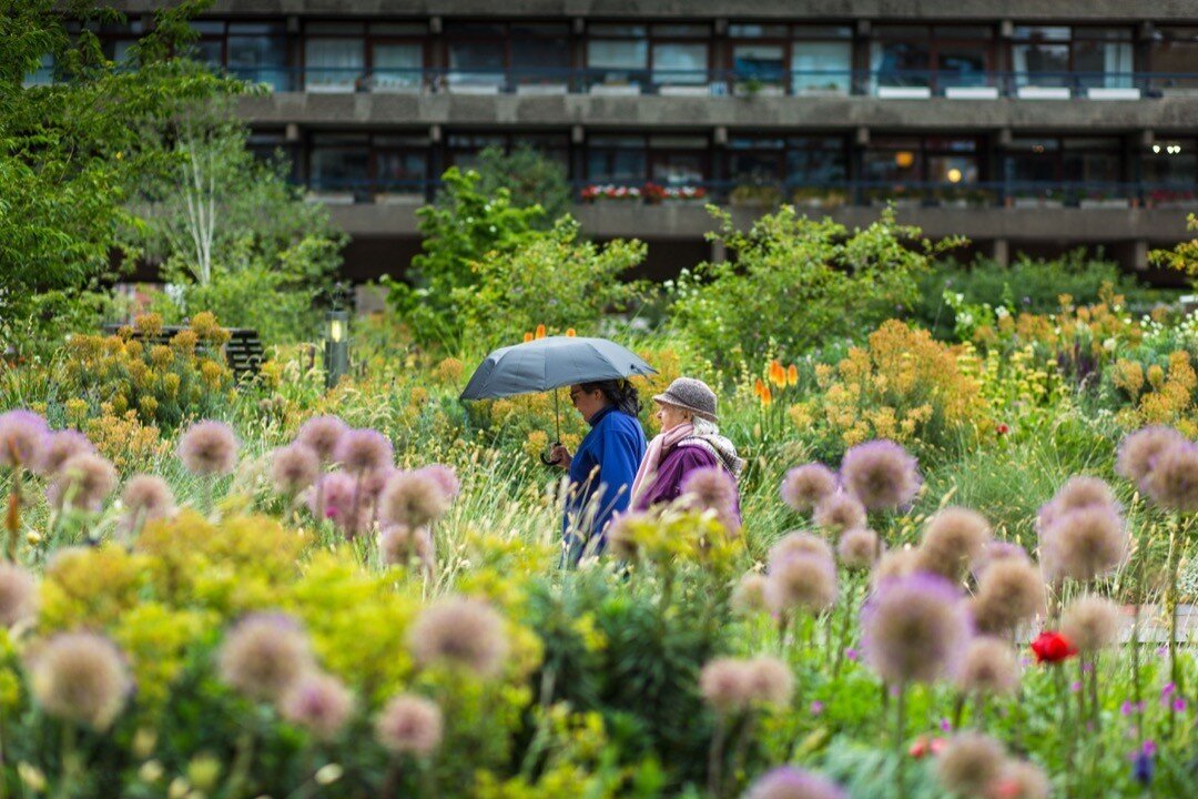 Nigel Dunnett's roof gardens at the Barbican, London.