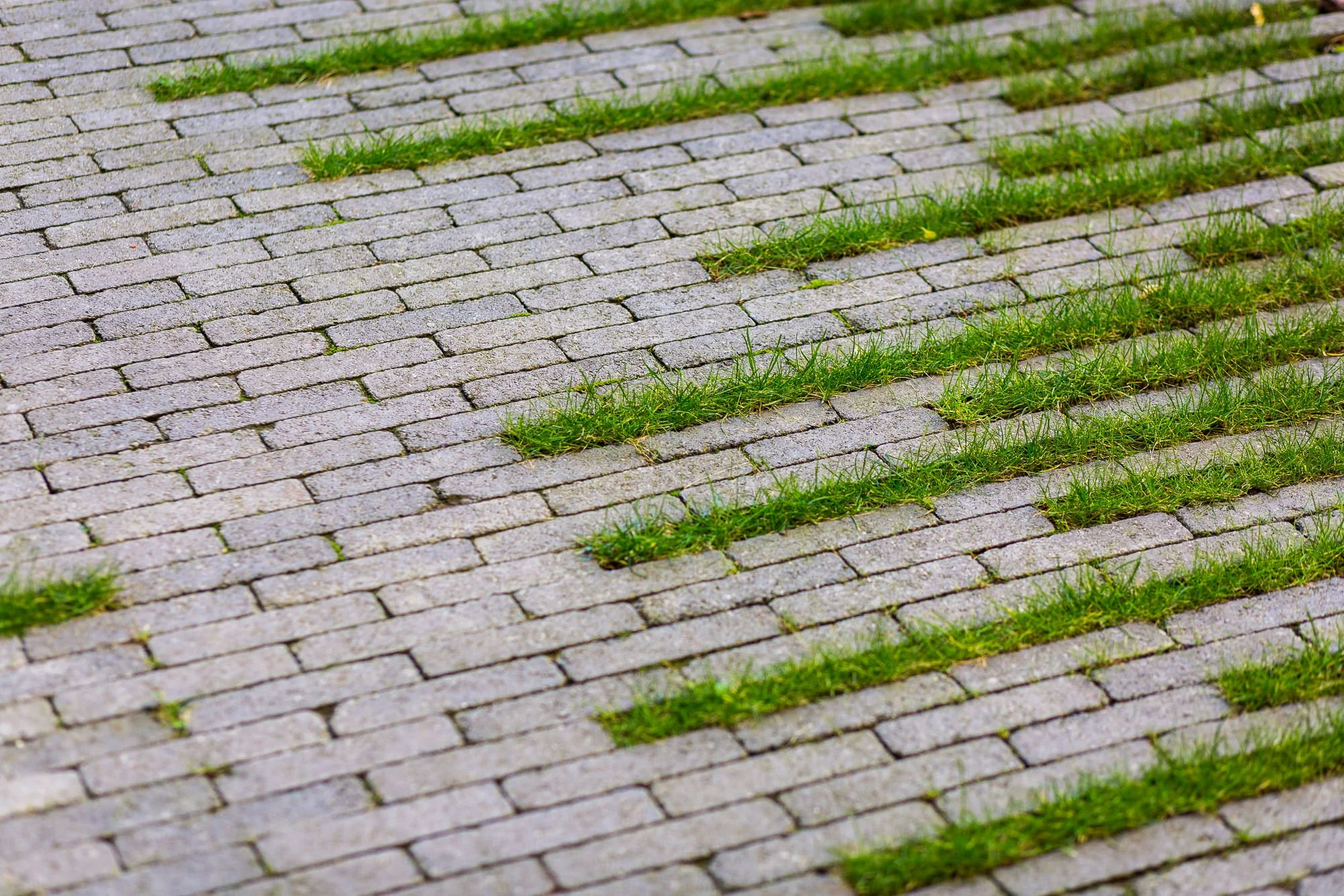 Crusader Mill Manchester_architectural_photographer_arc.Tom_Biddle_TB0018.jpg