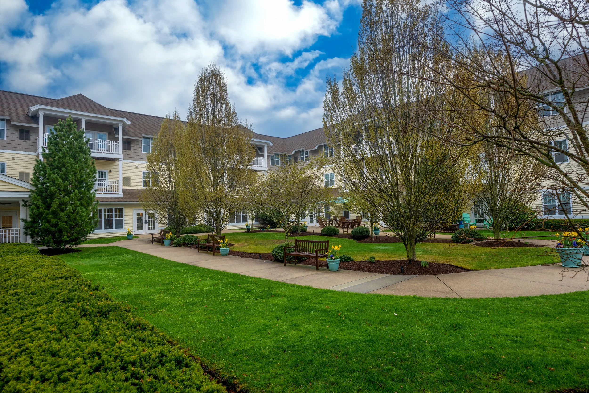 Outreach Concert at Brightview