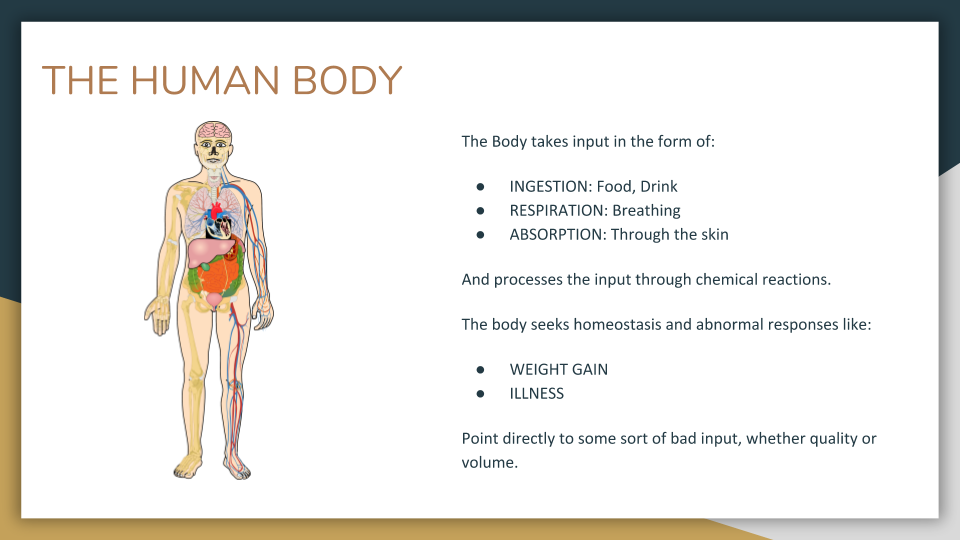 AH-body.png