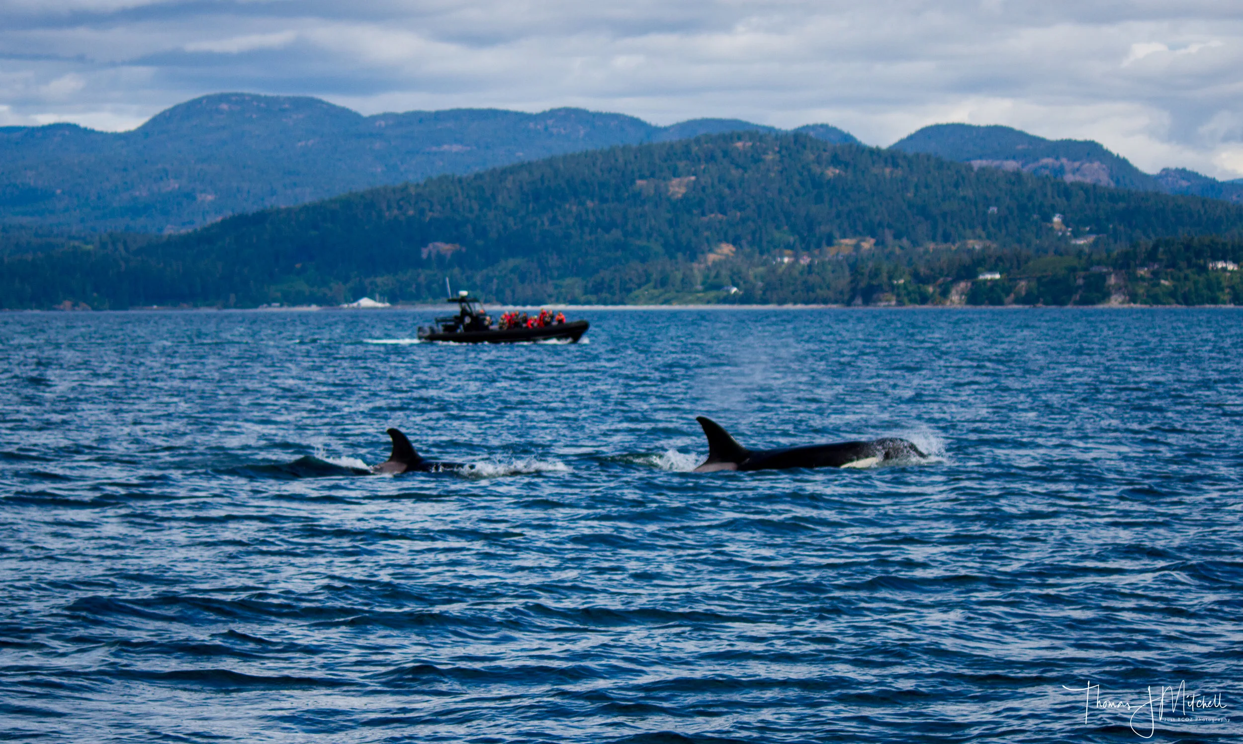 The T100s cruising past Sooke, BC - BC TIKA in the background with Capt. Gordon at her hel