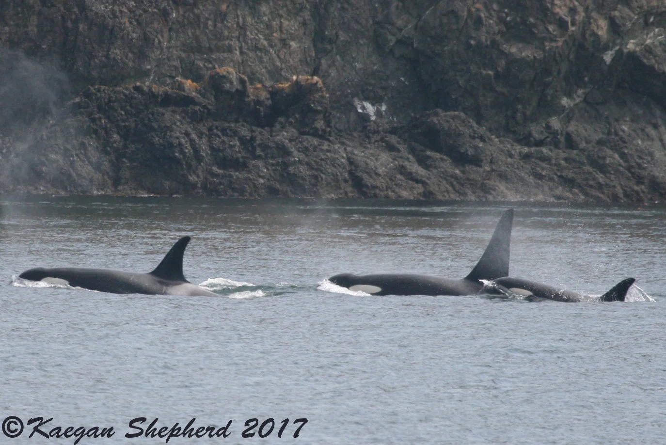 J-27 and family.jpg