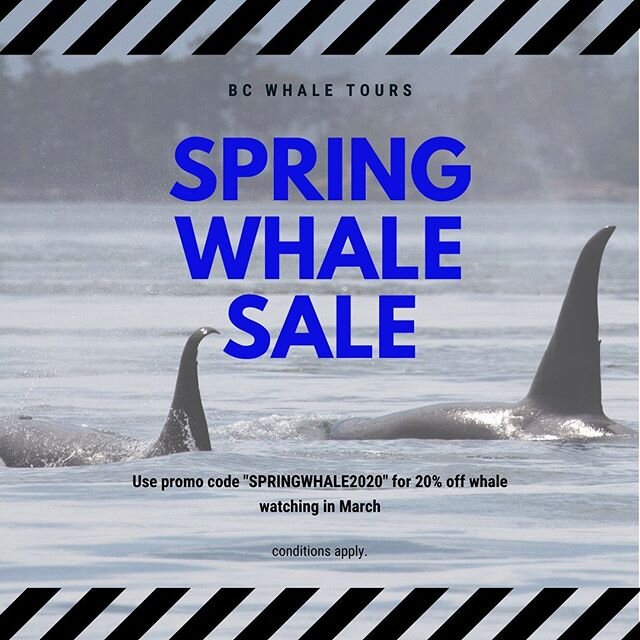 We are open for the 2020 season and are currently offering 20% off of whale watching in March! 🐋  Please use promo code &ldquo;SPRINGWHALE2020&rdquo; on our website to receive this discount. Conditions apply.
