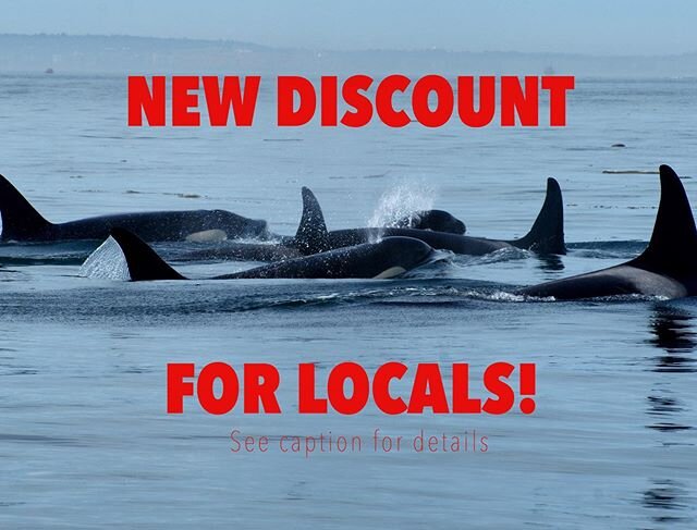 🎉 NEW LOCALS DISCOUNT🎉
.
.
Receive 25% off your ticket price when you use the locals discount code: LOCAL25 🎉 *Valid on tours departing in the month of March and April.
*Valid proof of BC residency must be presented during check-in *Cannot be comb