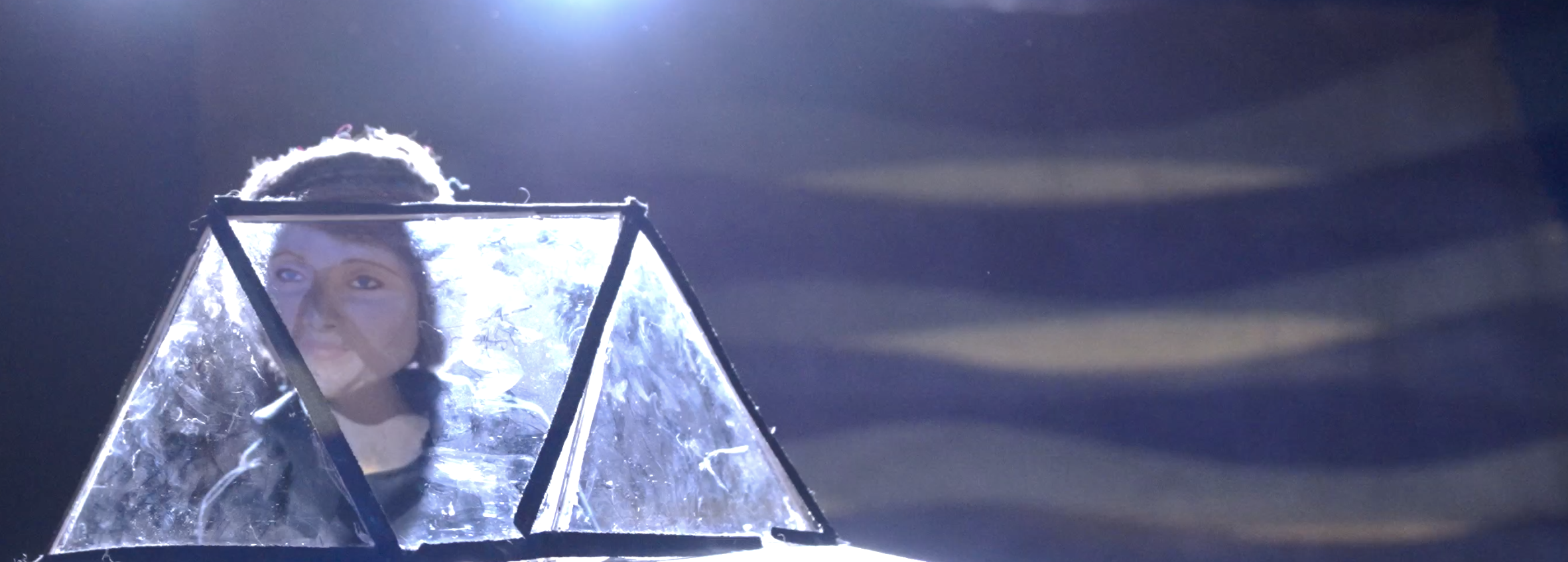 Puppet of Svetlana in a plane with blue waves