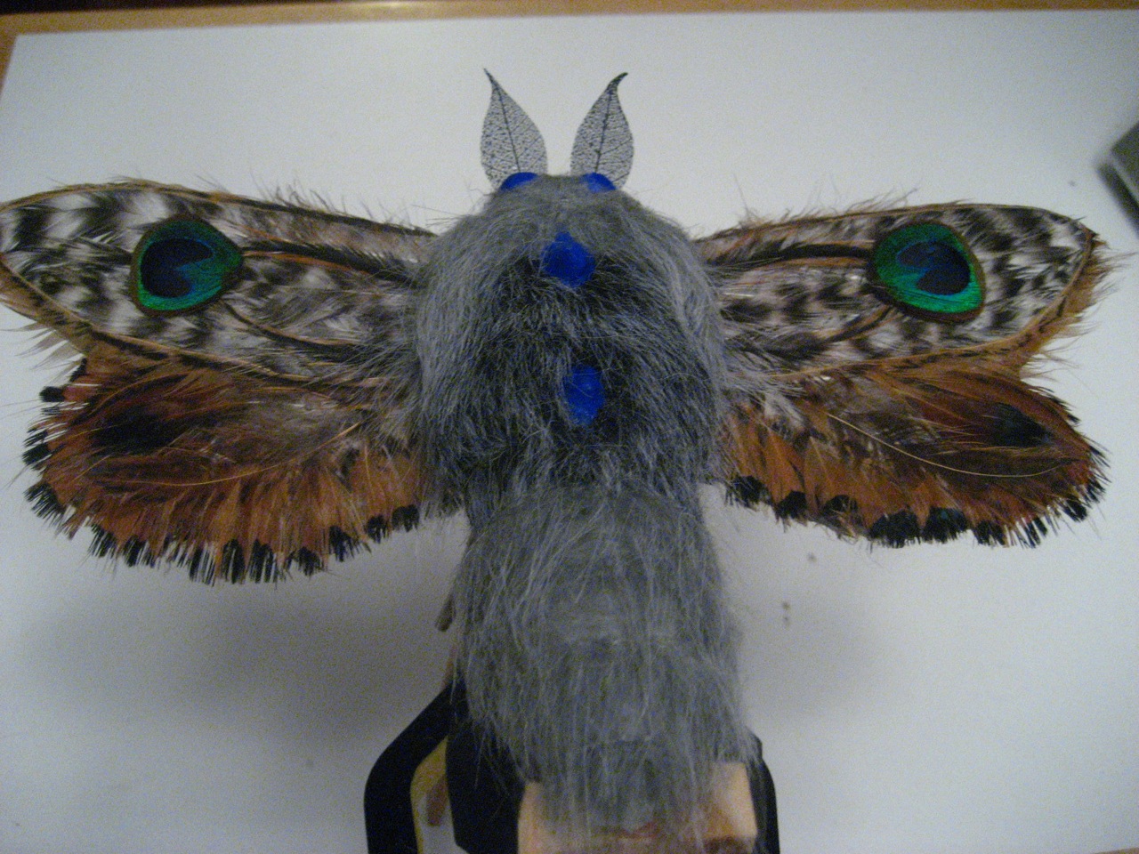 Moth Puppet, Rio en Medio music video