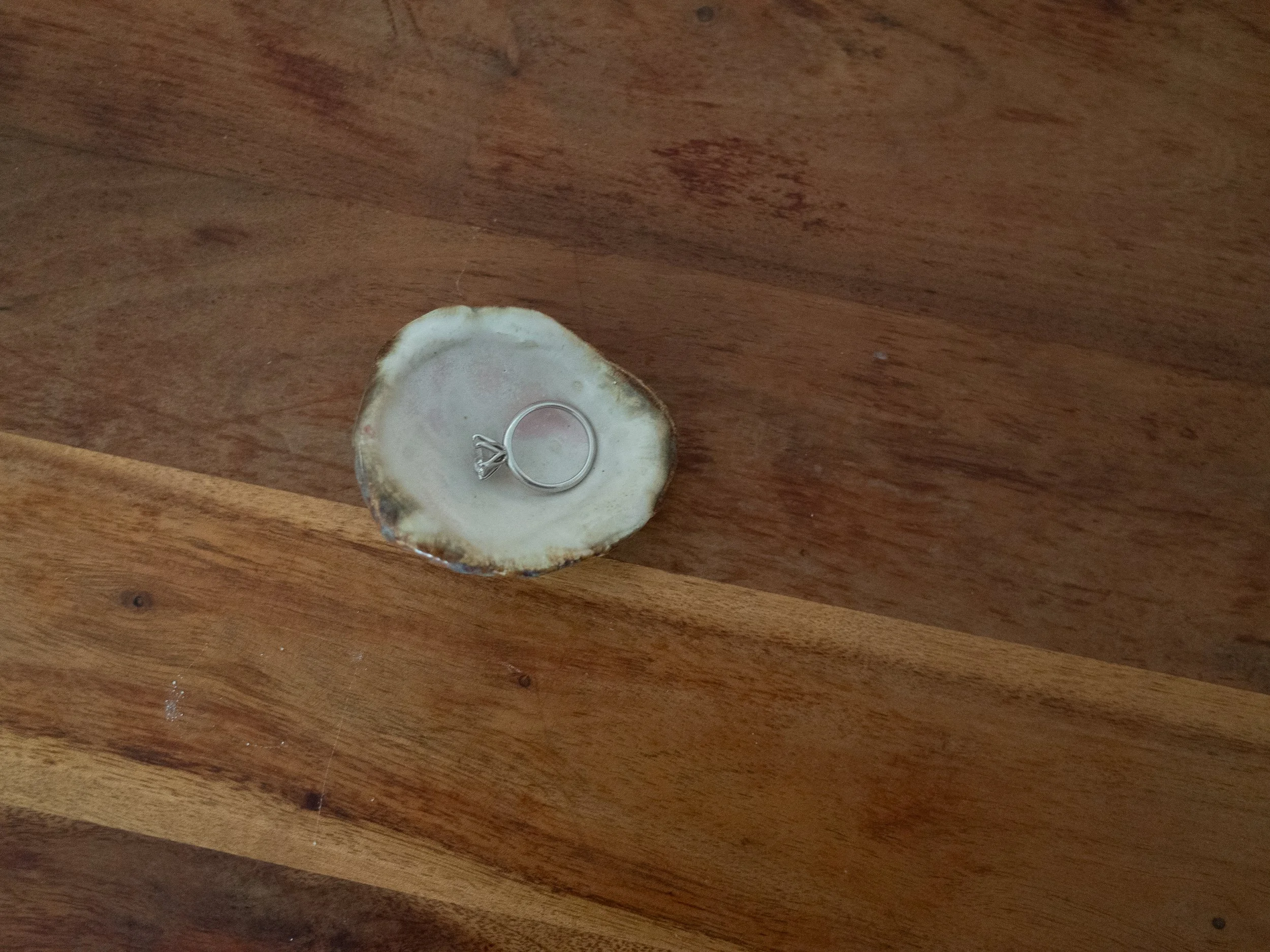 oyster