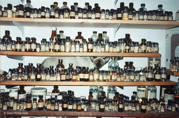 One of David’s hobbies was making perfume. David's cat Gandalf managed to leave the shelf with all bottles unharmed. 1990s.