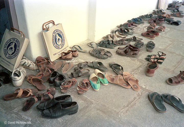 sandals outside meeting_web.jpg
