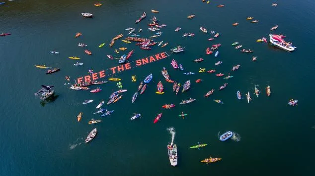 6_3_free_snake_ariel.jpg