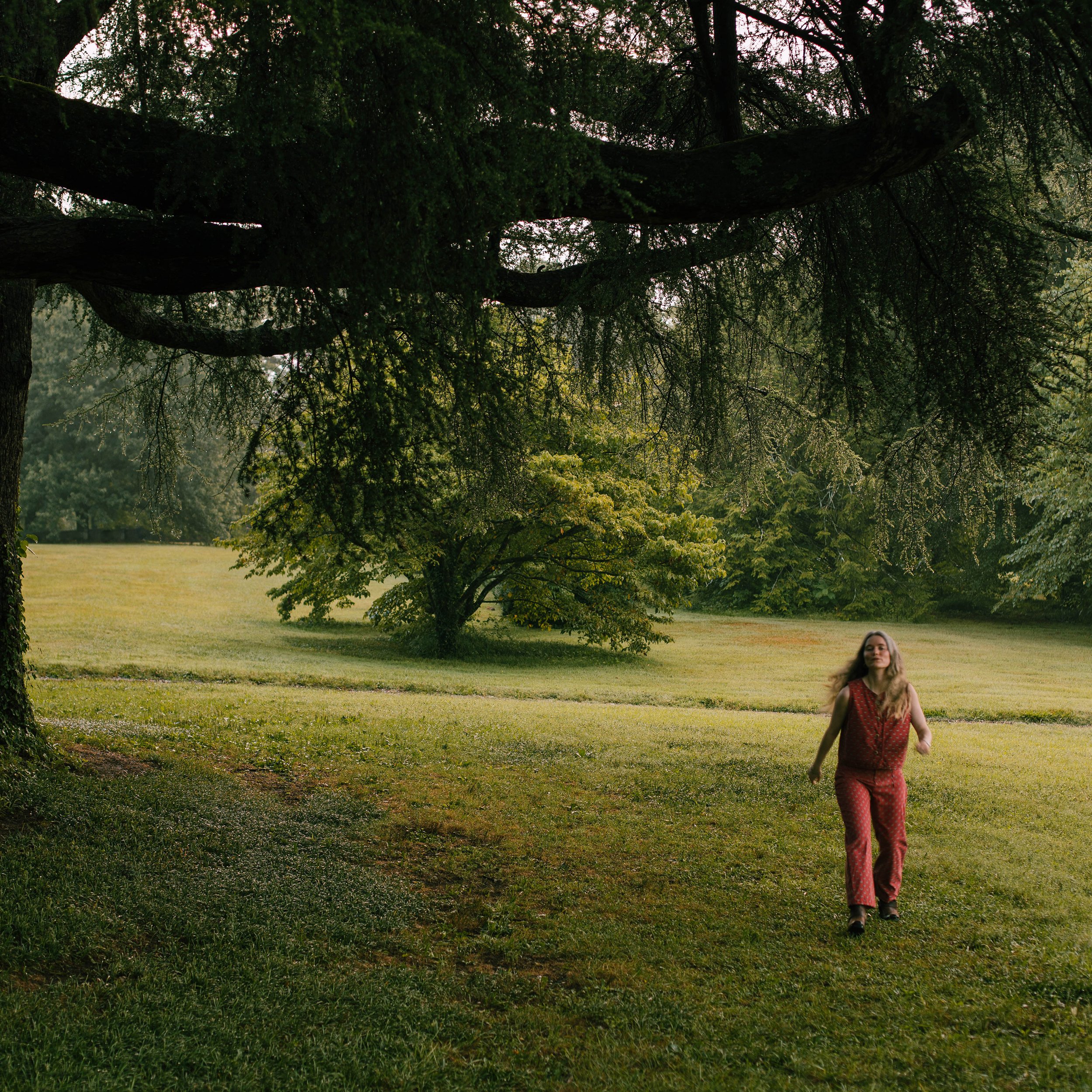 Wildflower Heart.jpg