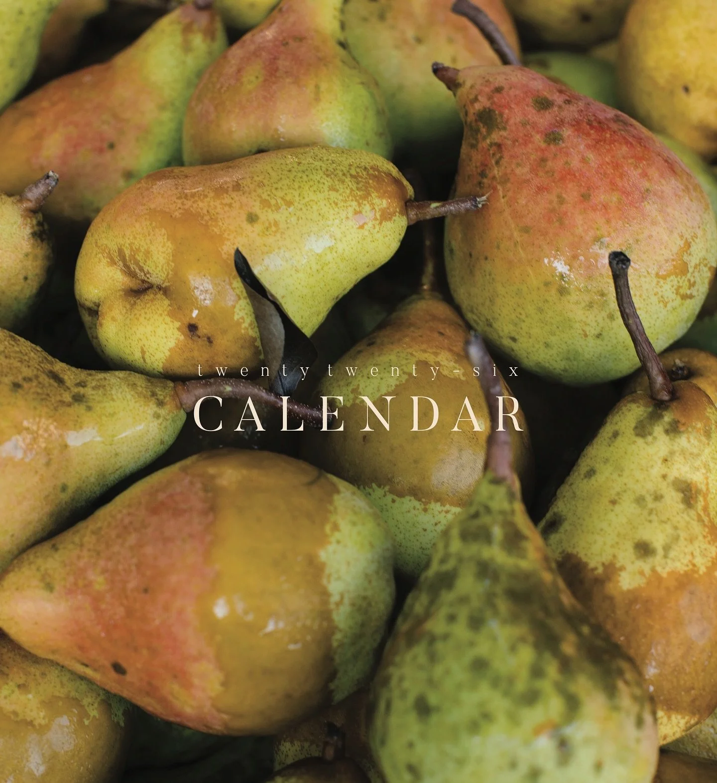 It&rsquo;s here!!! The twenty twenty-six calendar brings a big change with it! For years now I&rsquo;ve released my beloved clipboard calendar. I felt like it was about time to move on up. I&rsquo;m so proud of all the work that&rsquo;s gone into it 