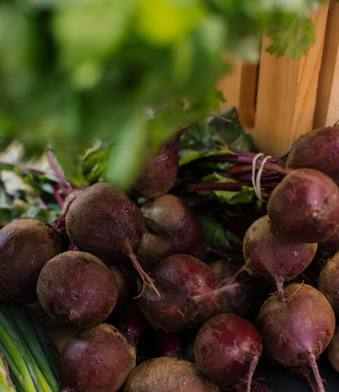 January.
The colors in this photo just feel like January. The deep purple-red of the beet makes me think of a garnet. I love the condensation on the beets too. Just too good.