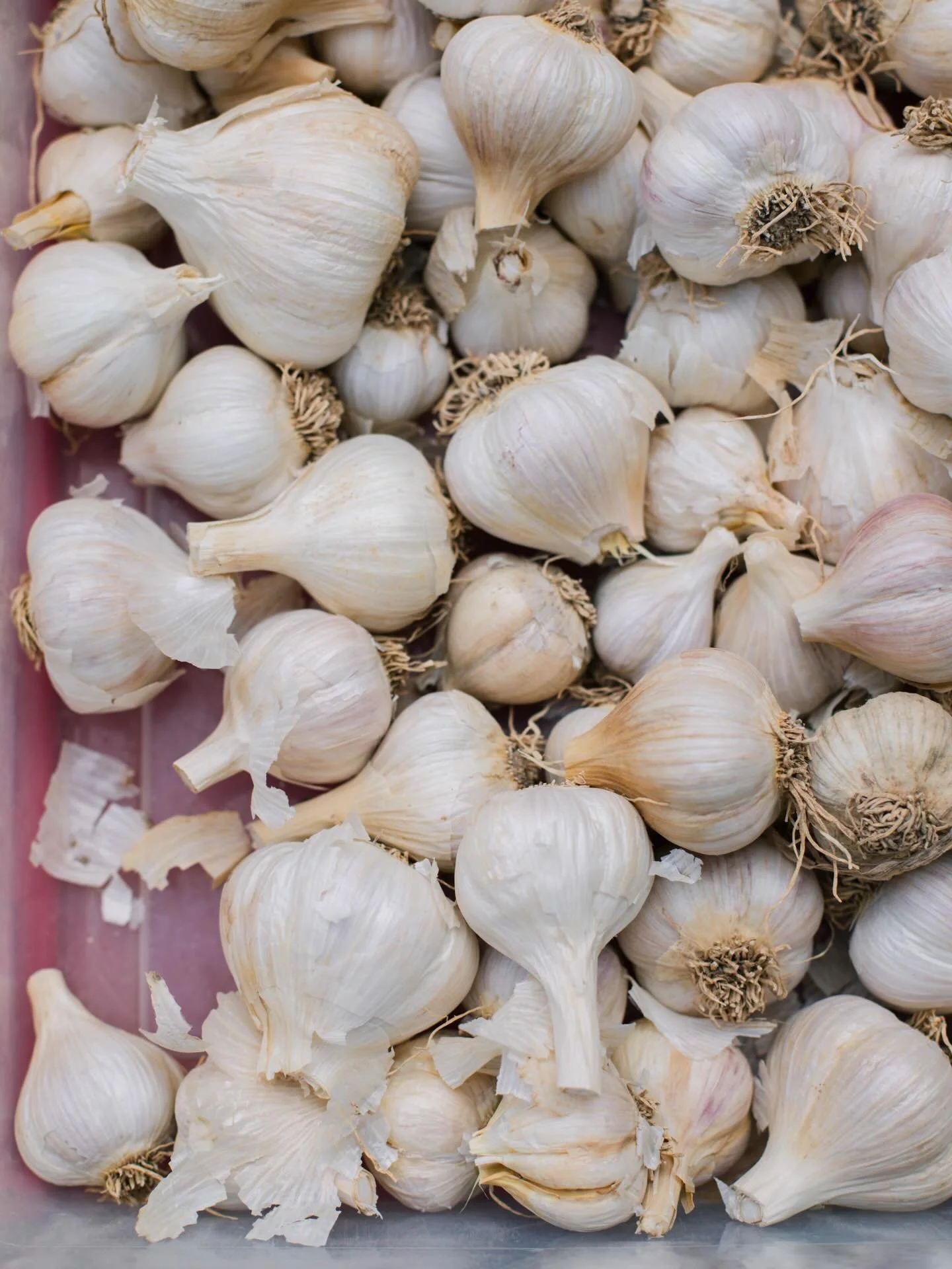 Only the best for February. 🧄