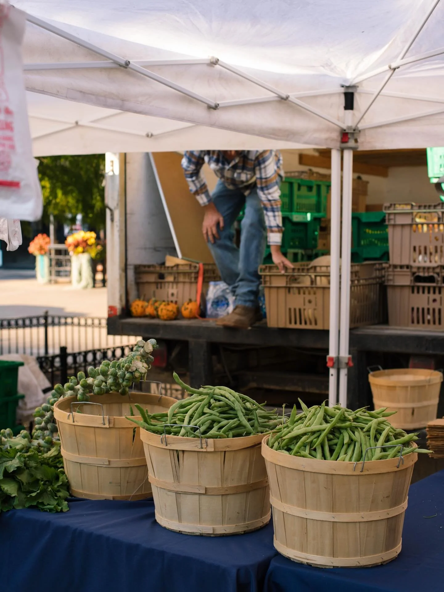 A preview of things to come. It&rsquo;s spring in Tennessee. 🌱