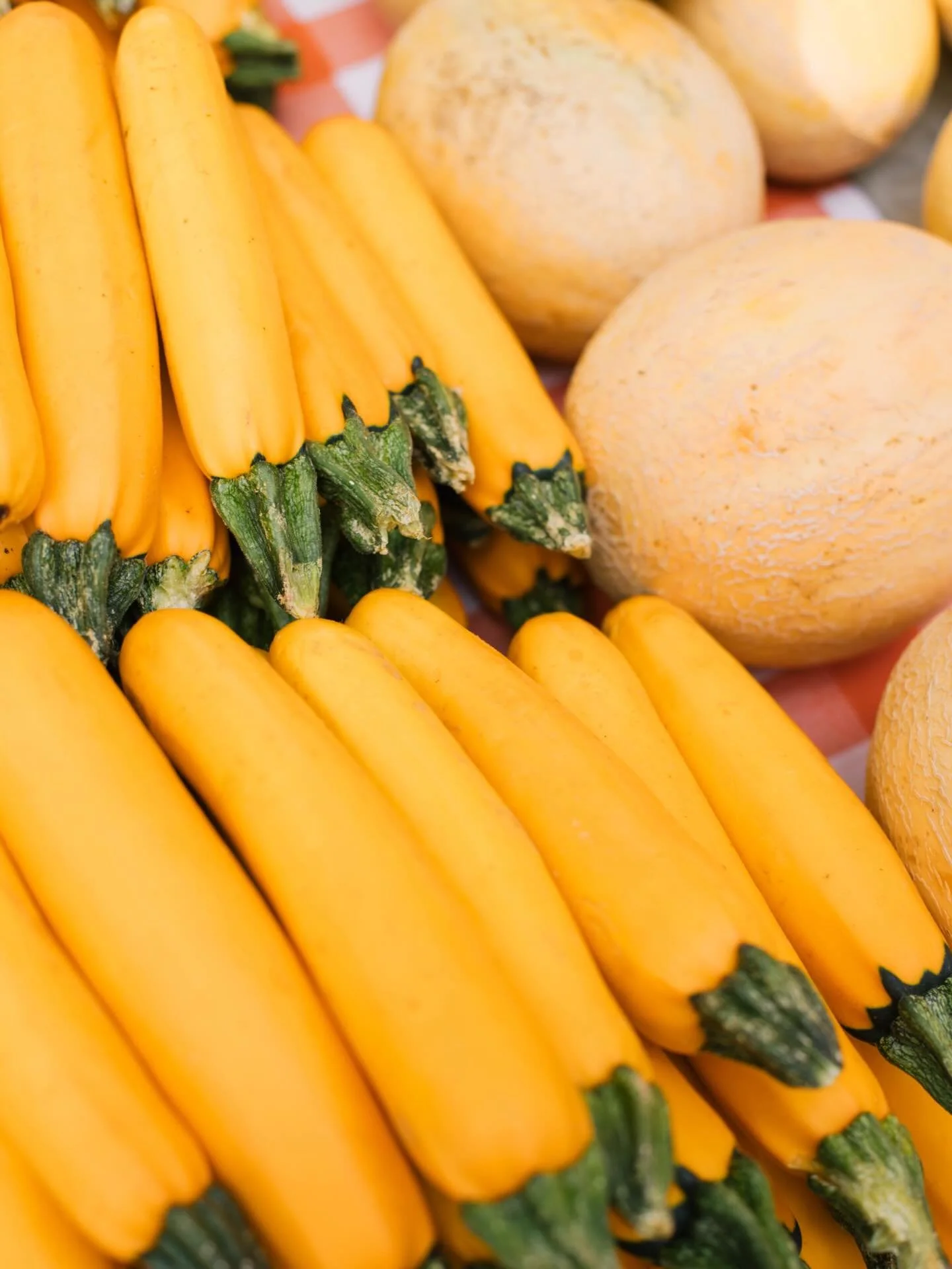 Yellow and gingham. 
Doesn&rsquo;t get much better.