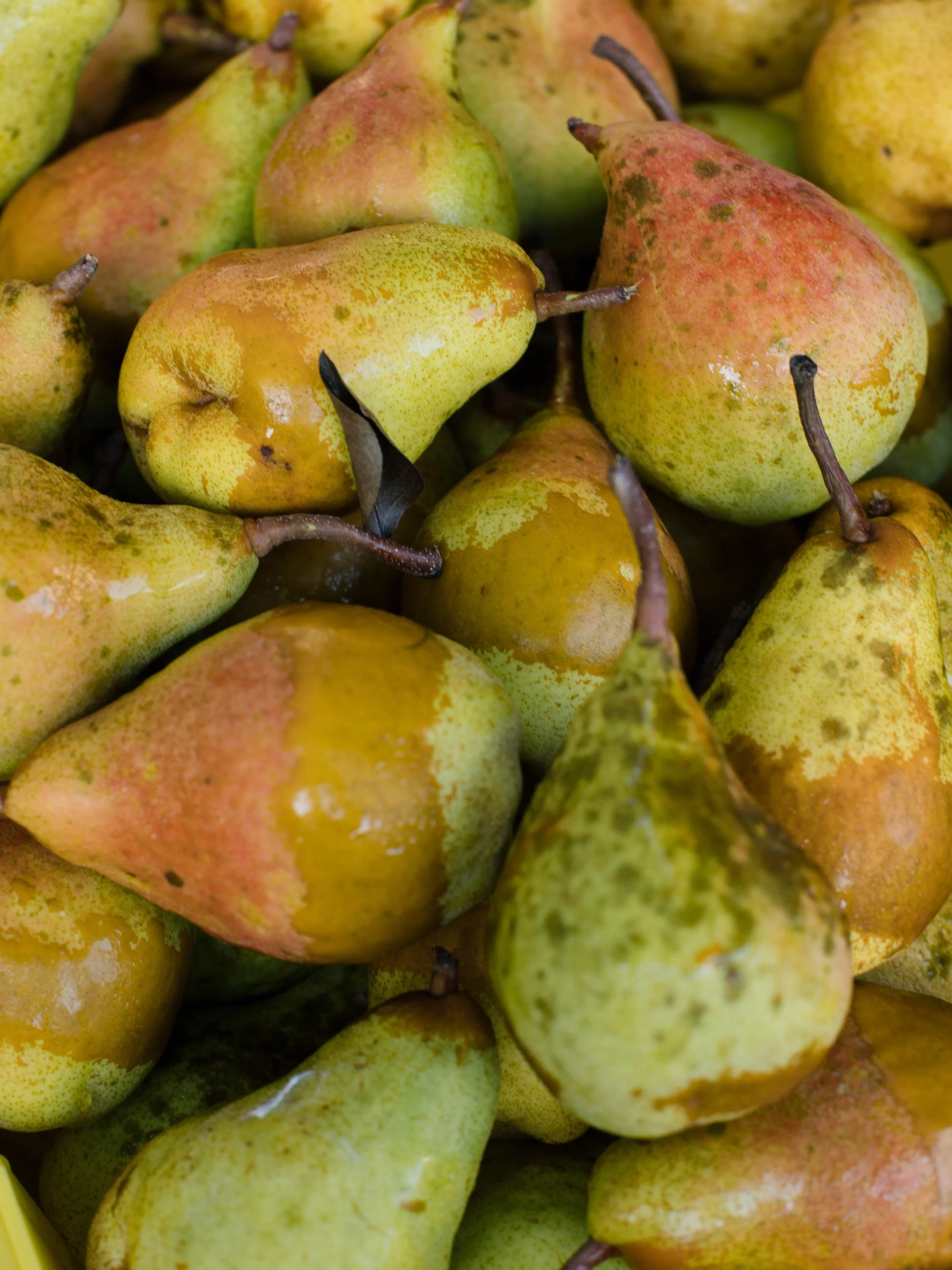 August. I narrowly chose this for the cover of the calendar. I love colors of the pears and the texture you can almost reach out and touch. It&rsquo;s that slight bend in the road from summer to fall.