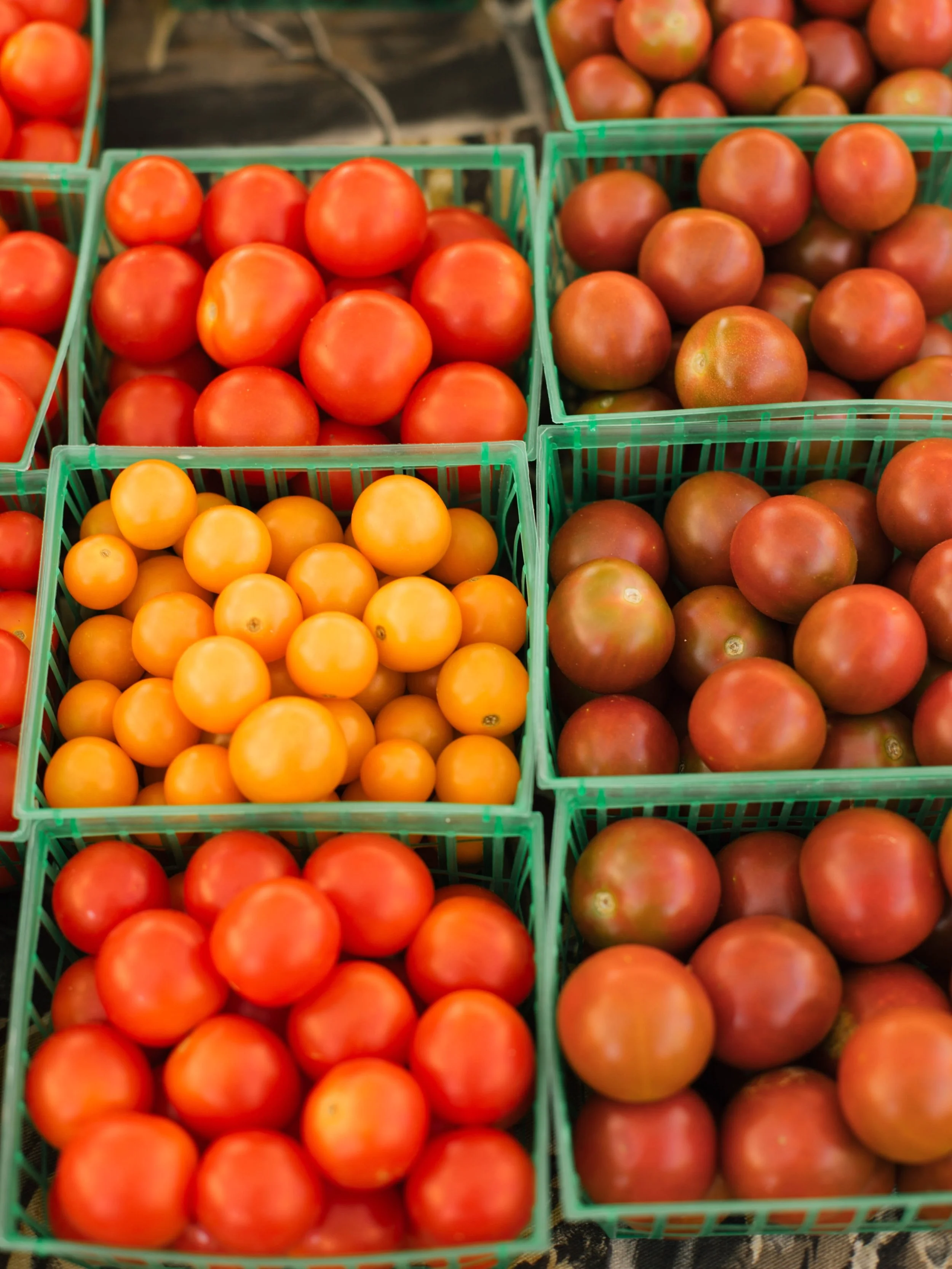 Happy July! We&rsquo;re smack dab in the middle of summer and nothing says that like tomatoes to me. That smell always makes me think of my grandfather. Happy summertime to you! 

And a very happy 4th of July! 🇺🇸 🎆