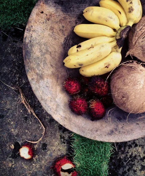 Tropical Fruits : Costa Rica : By Aci.jpeg