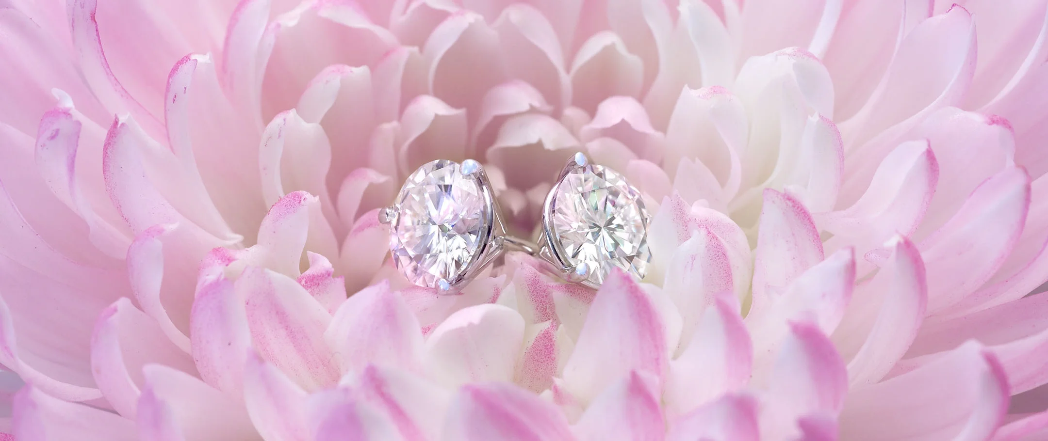 383926PinkFlower.jpg