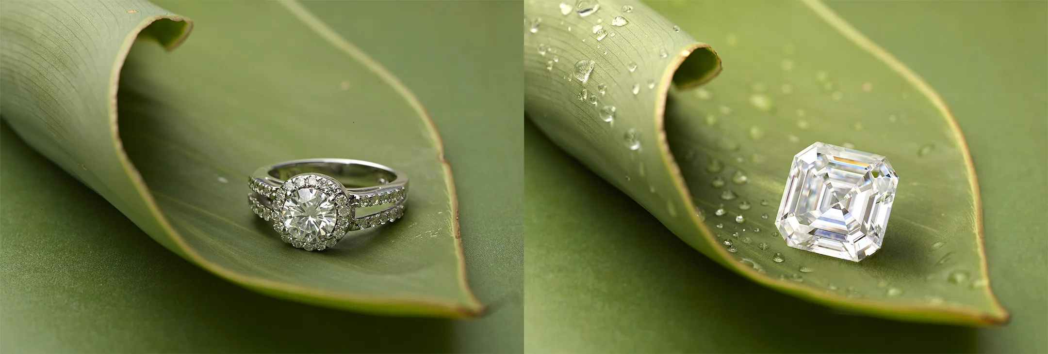 AsscherOnLeaf.jpg