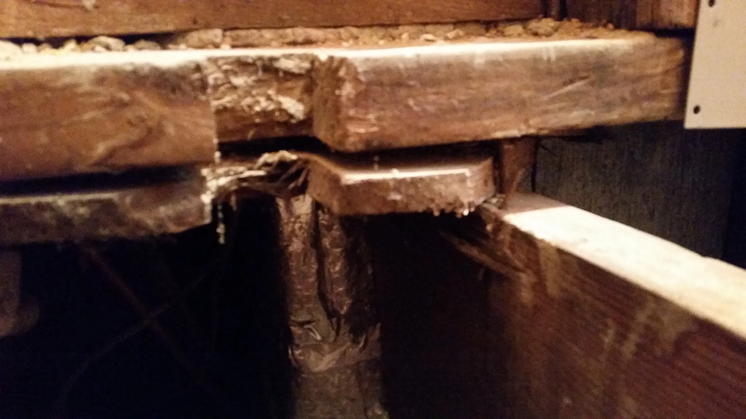20151022_102919.jpg