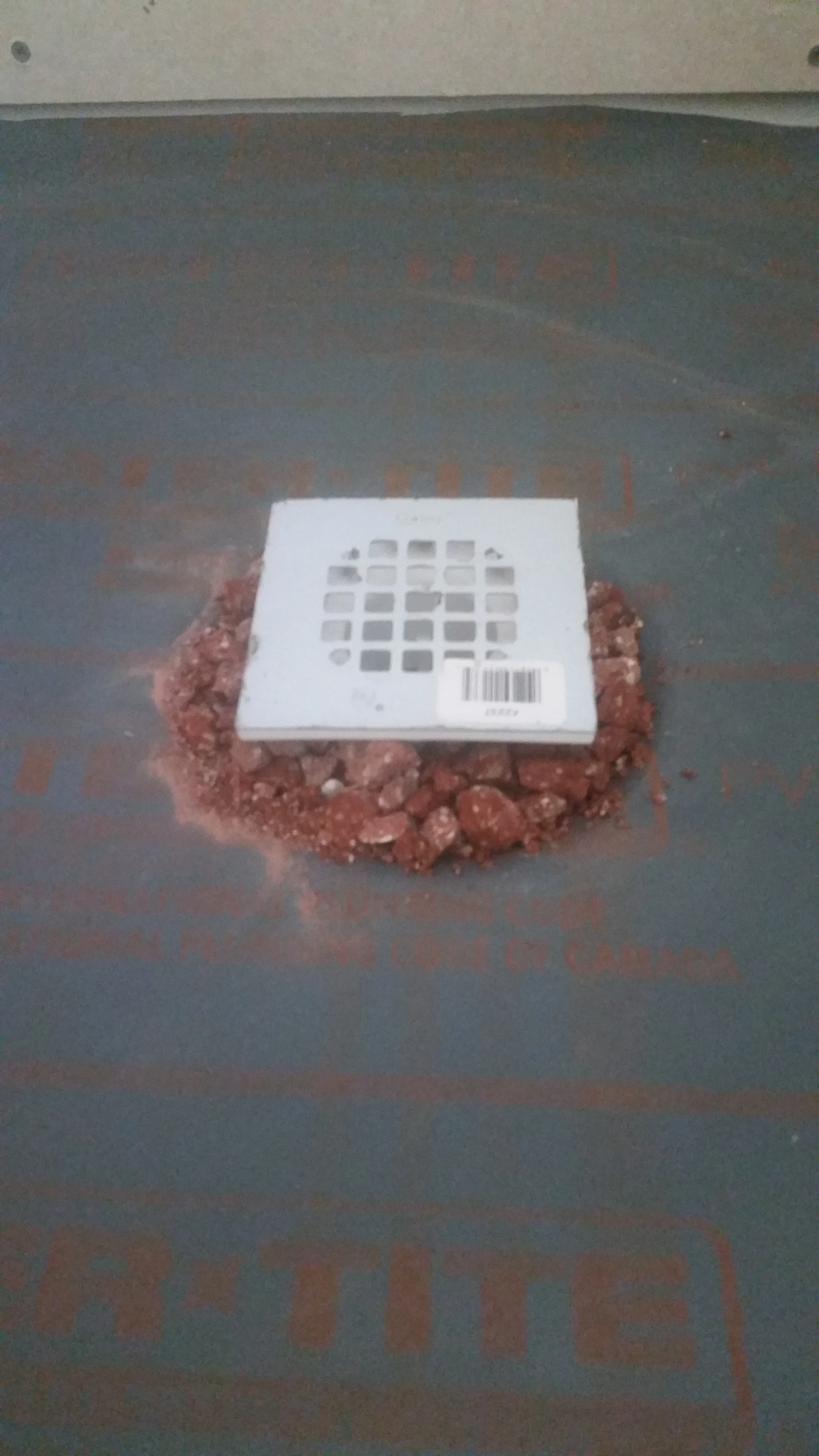 20151029_092829.jpg