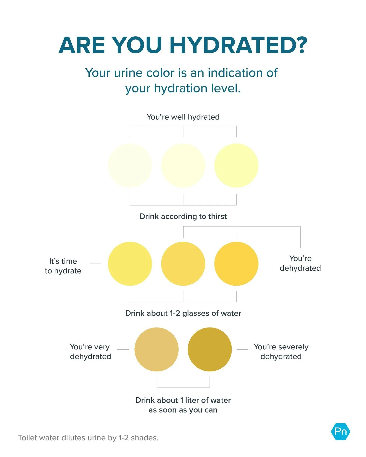 You’ve heard the advice: Drink 8 cups of water a day.
But it is true… for everyone?
Here’s the thing: How much water YOU personally need depends on your… 
✅  Age
✅  Body size
✅  Overall health
✅  Activity level
In other