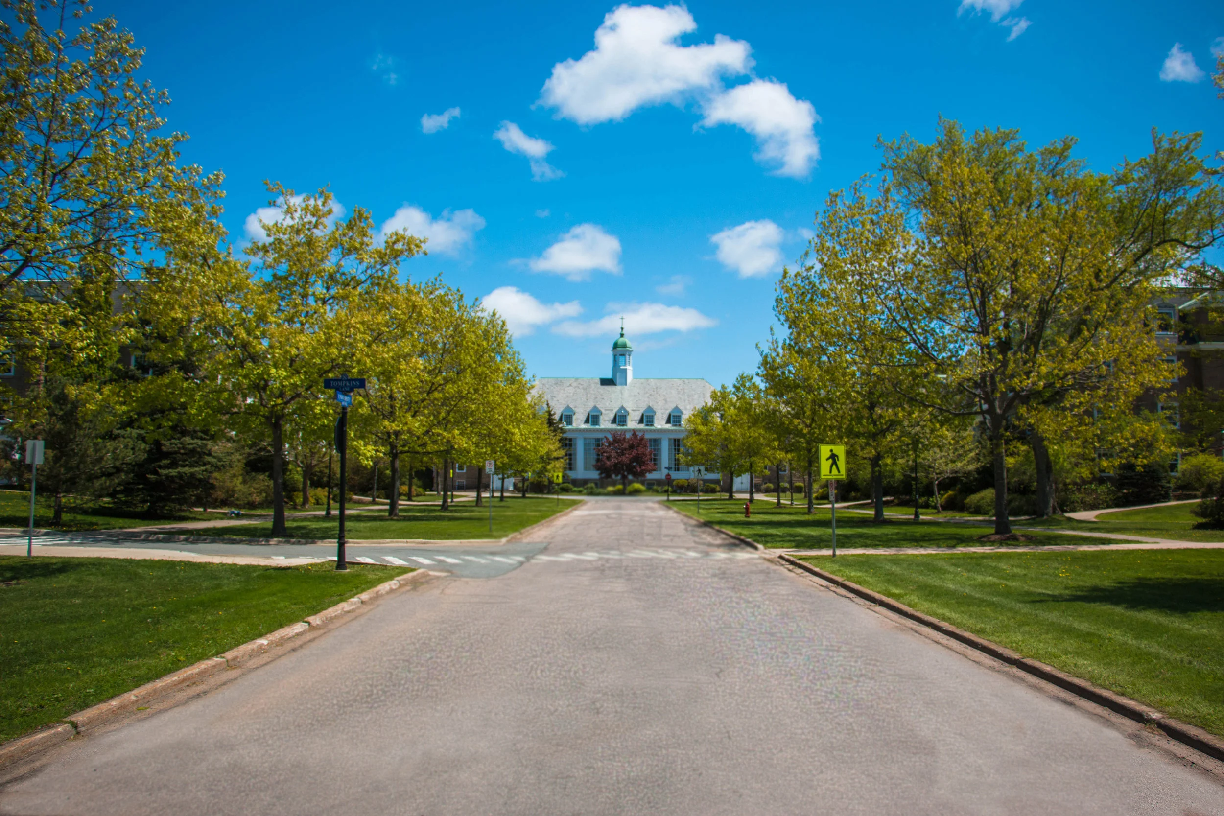 University Ave - No Crack .jpg