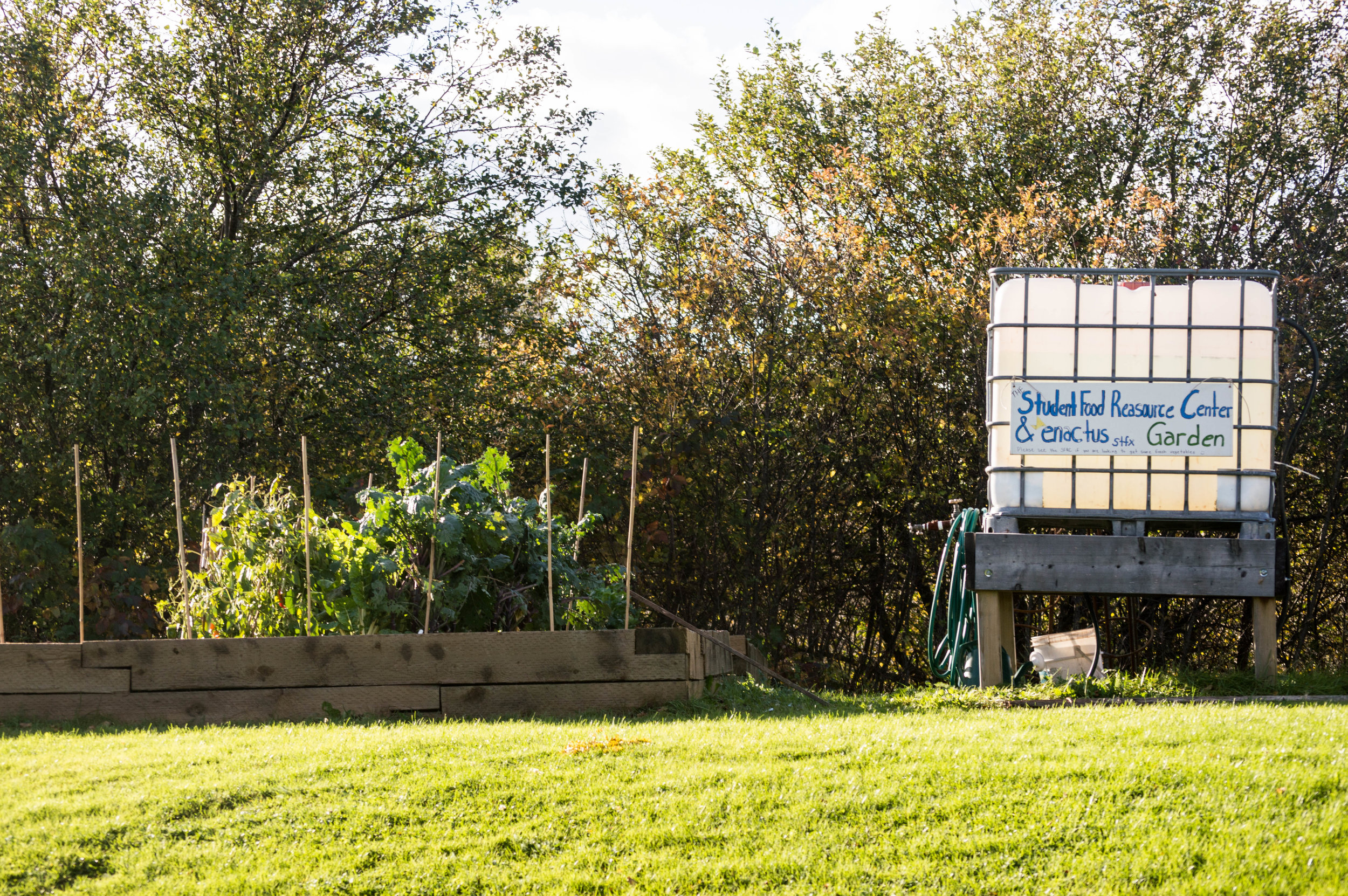 Enactus StFX uses garden to help students 