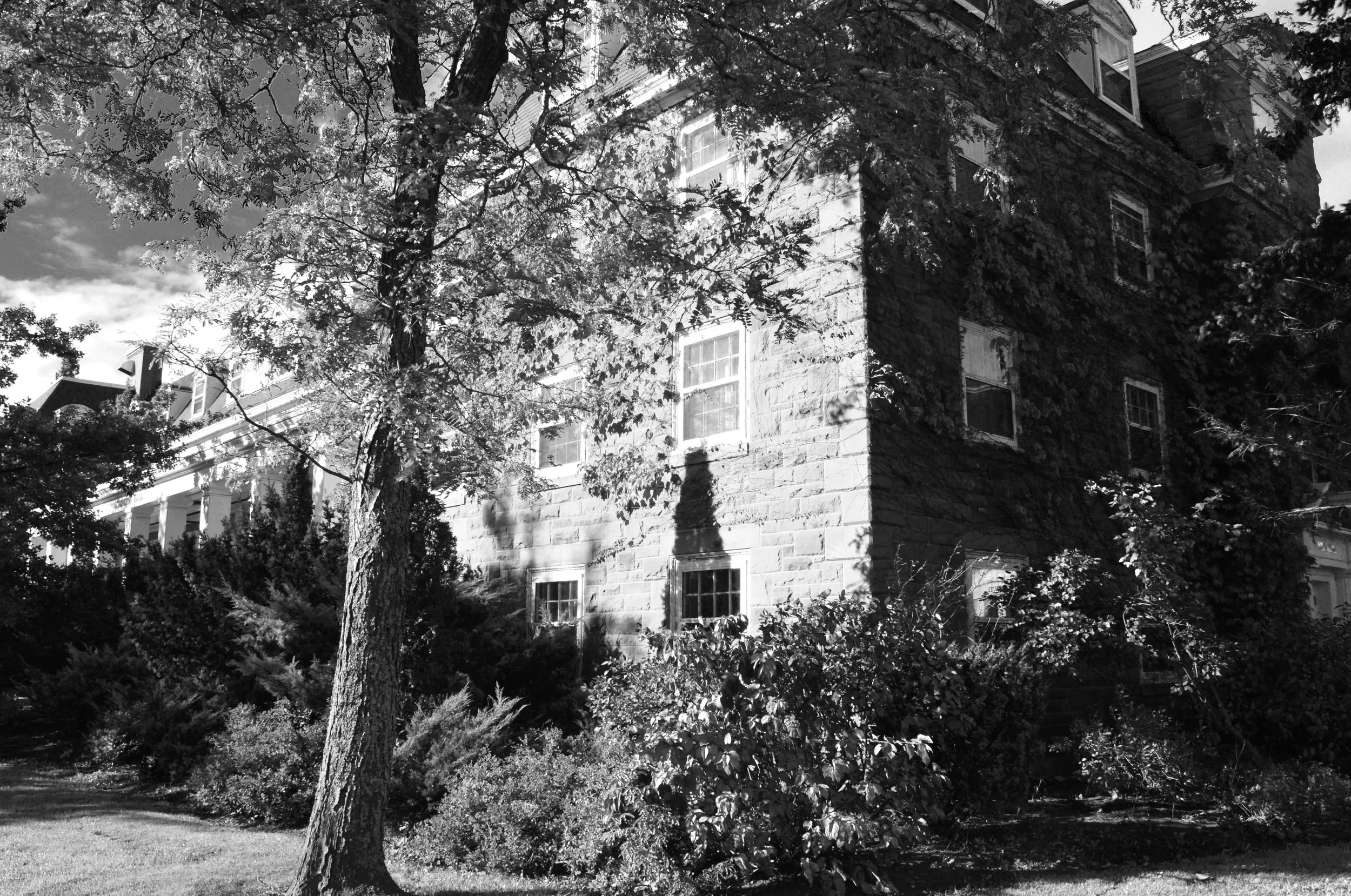  The university announced in late October that first years will be allowed to return to MacIsaac, MacNeil, MacPherson, and MacDonald for a second year in residence. This change comes after a frosh-only year for all four houses.&nbsp; 