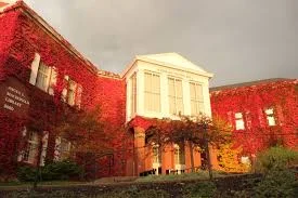 Henein: a perfect fit for the Maple League lecture series