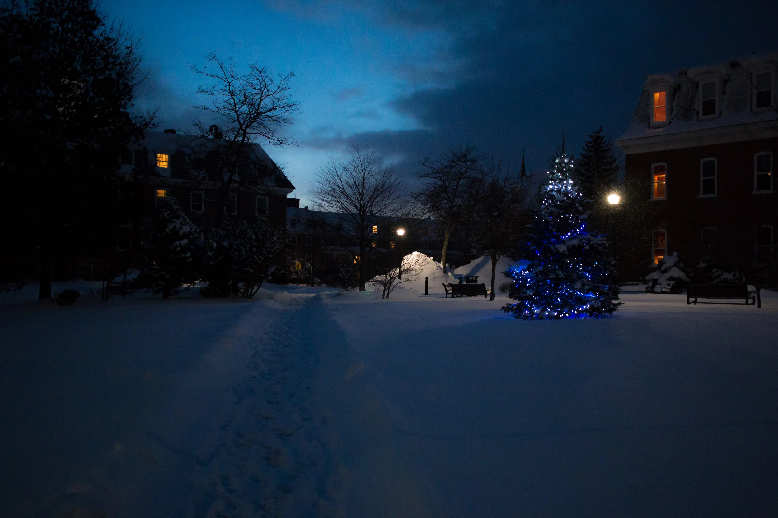  The StFX Christmas tree illuminates Confusion Square.&nbsp; 