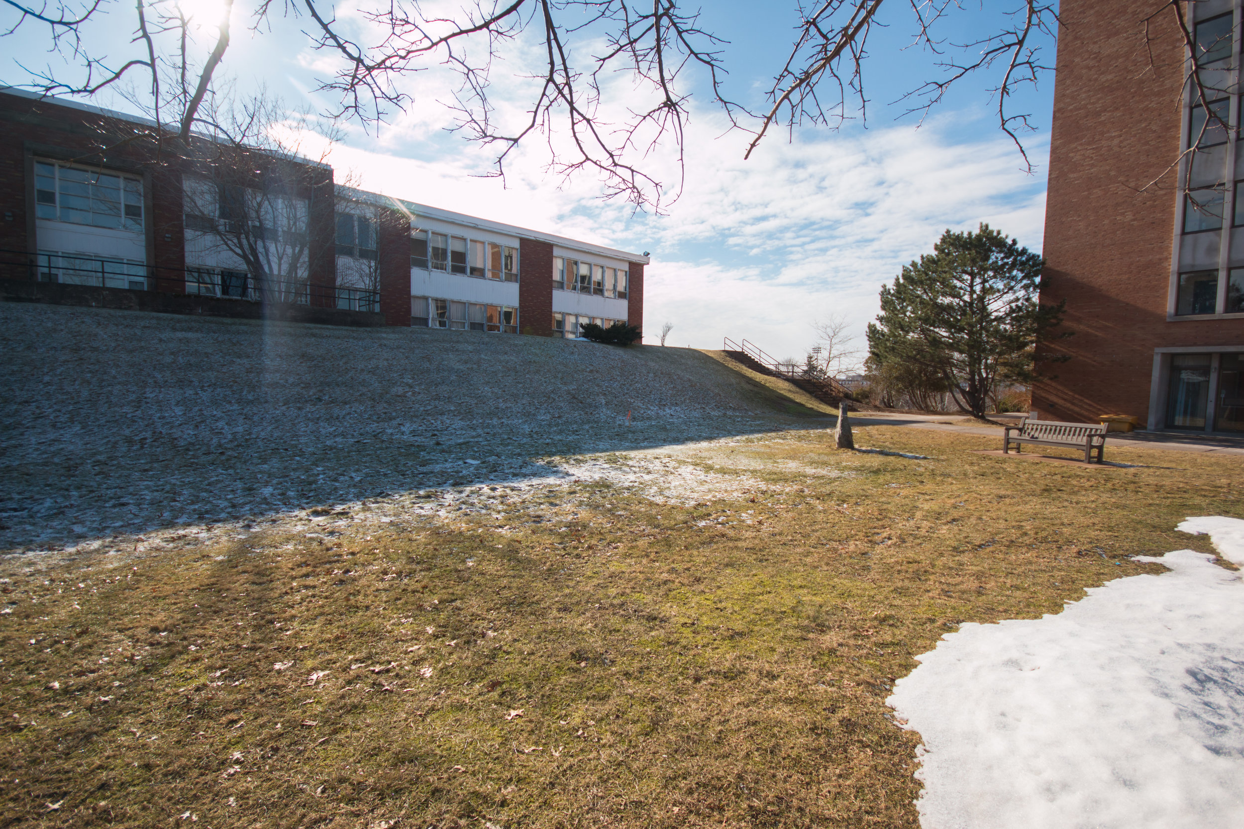  The hillside near the Annex is the current location of the outdoor biology labs.&nbsp; 