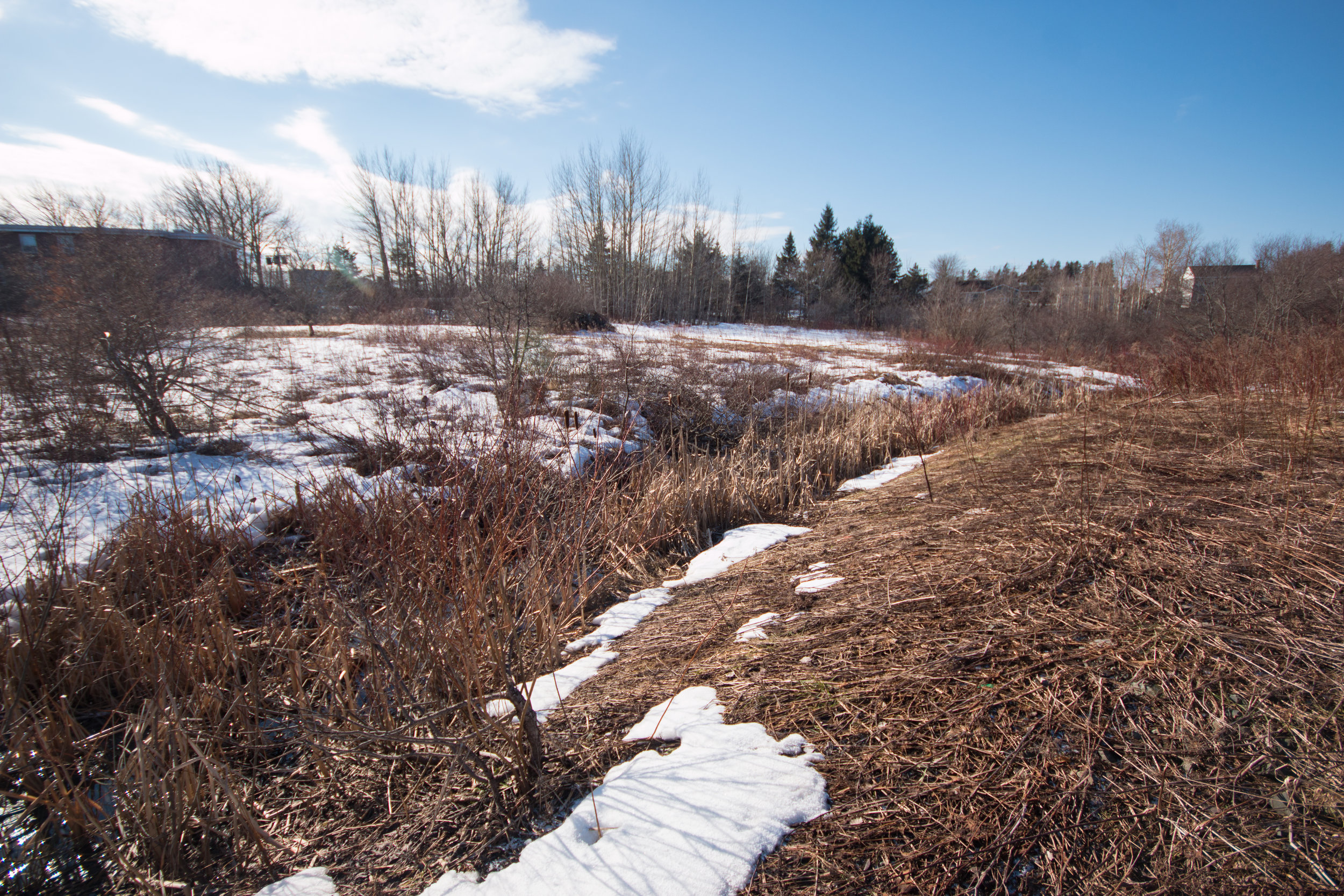  A small waterway runs through the unusable West Street property.&nbsp; 