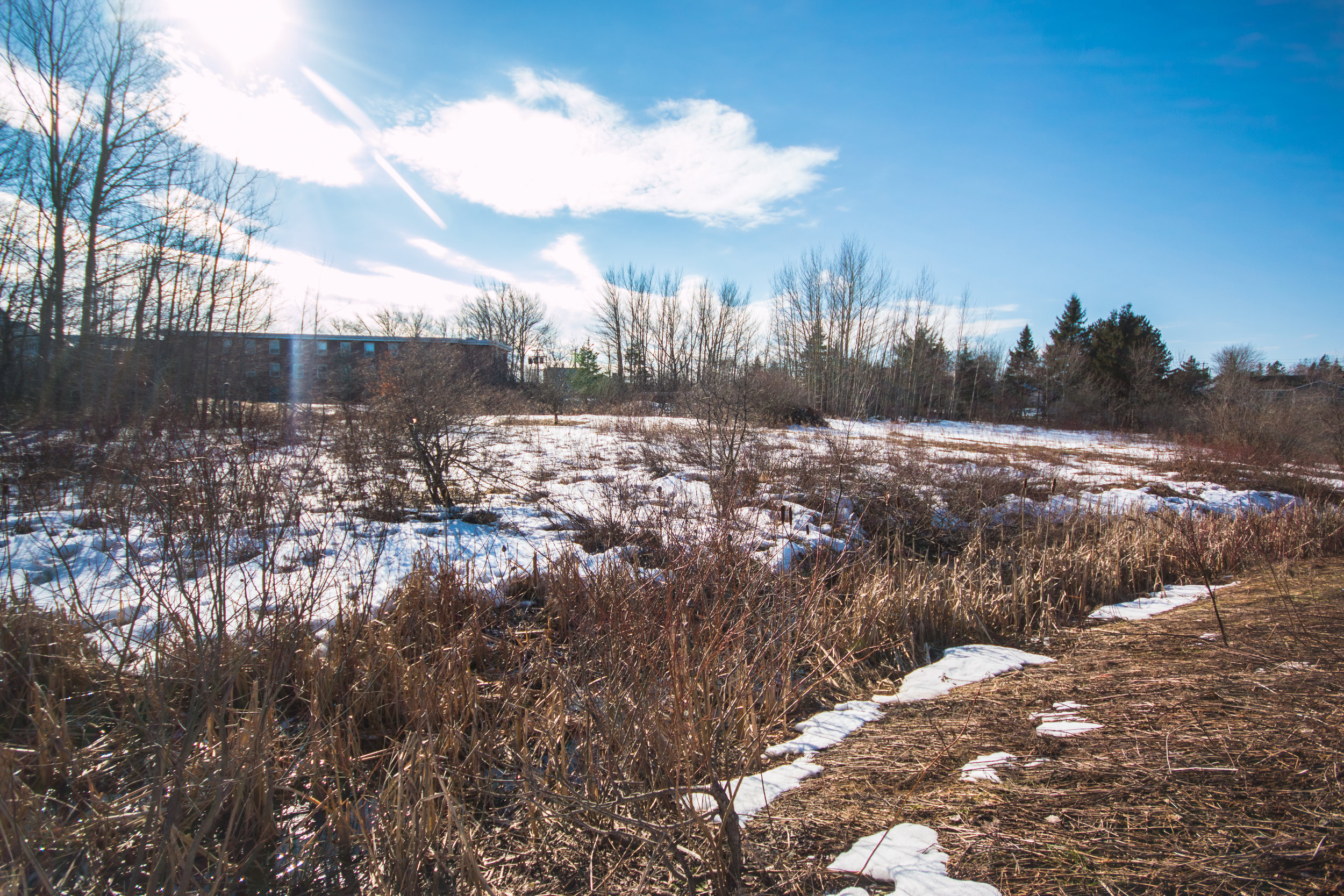  A small waterway runs through the unusable West Street property.&nbsp; 