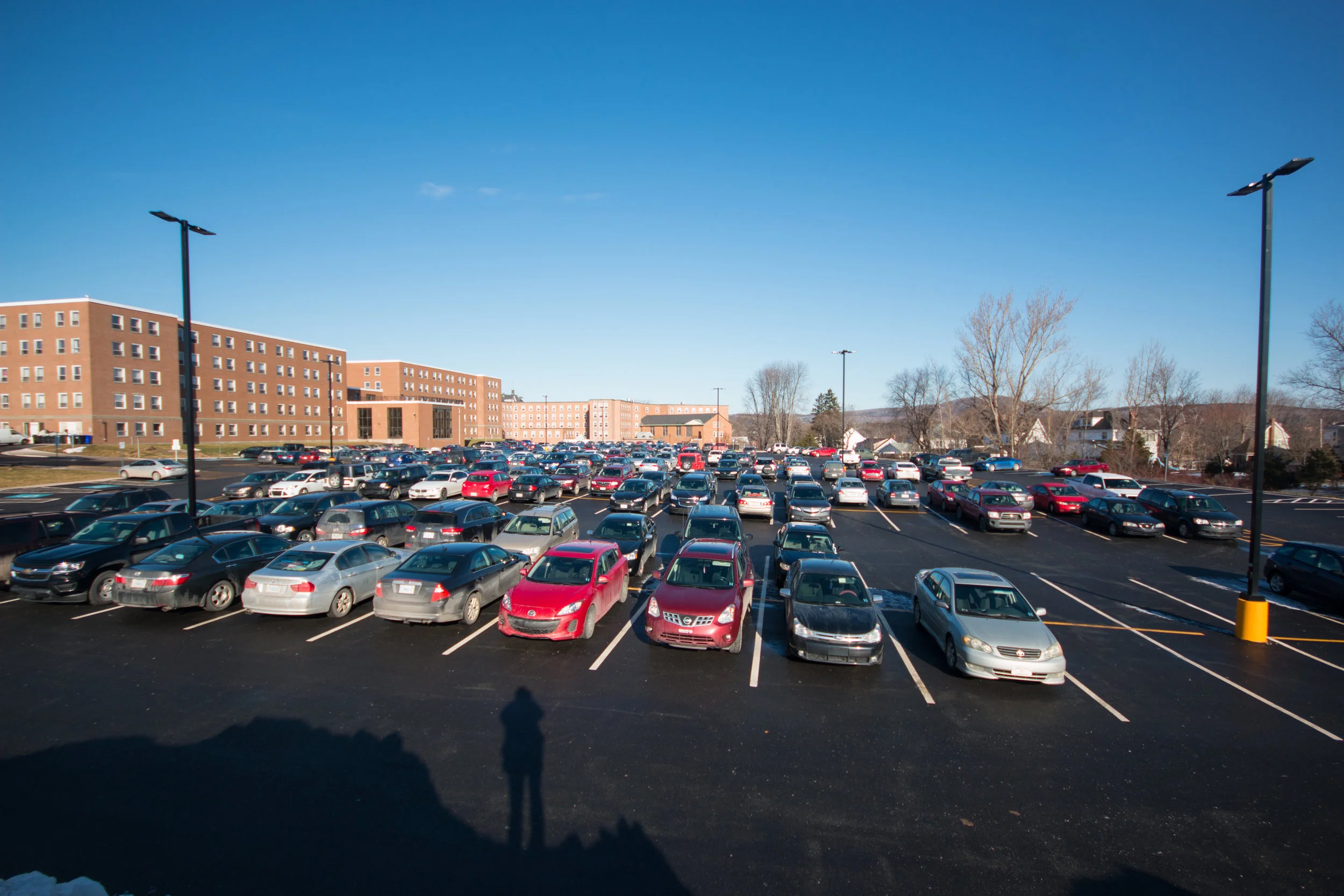 The renovated parking lot behind Lane Hall. The expansion paved over one of the last field lab areas available for use by the biology department. 