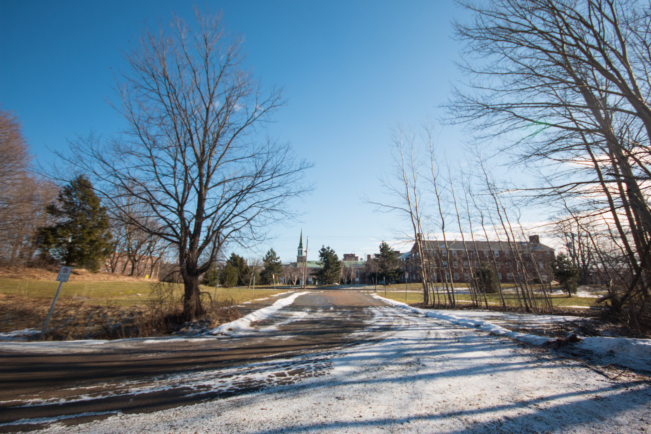  The view from the West Street property looking towards campus.&nbsp; 