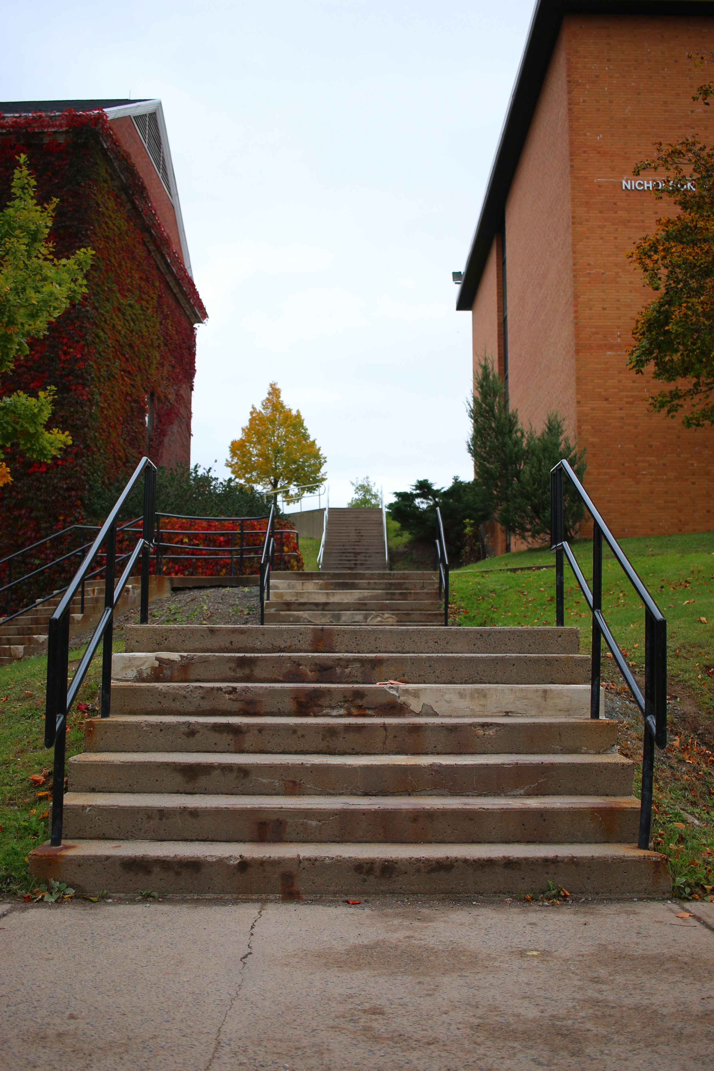  Multiple staircases prevent easy access to upper campus for those with mobility challenges. The construction of the Mulroney Institute will lower the grade of the hill and allow for wheelchair access.&nbsp; 