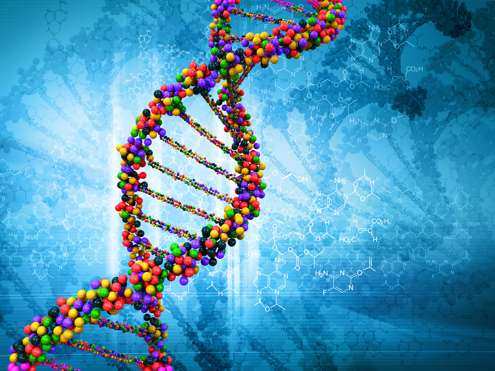 The "Gay Gene"