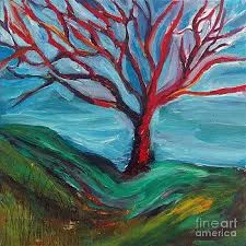 Nova Scotia Artist of the Month: Sandy MacNeil