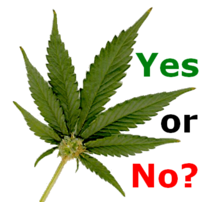 Legalization: A Weed that Won’t Die