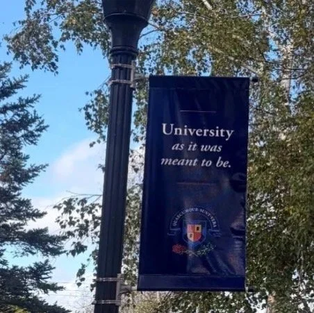 University as It Was Meant to Be: A Double Standard of Campus Safety