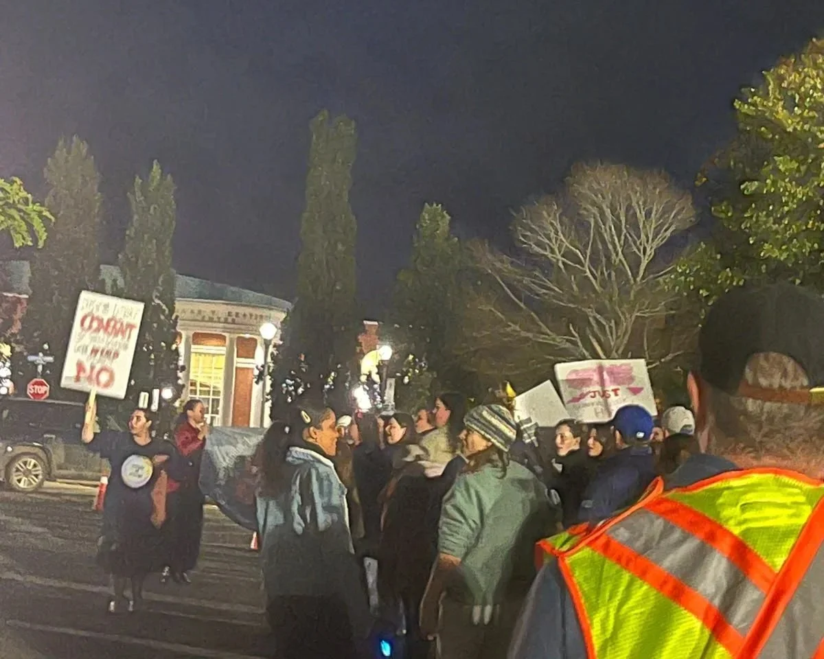 Take Back the Night – Sincere Solidarity or Pushed Participation?