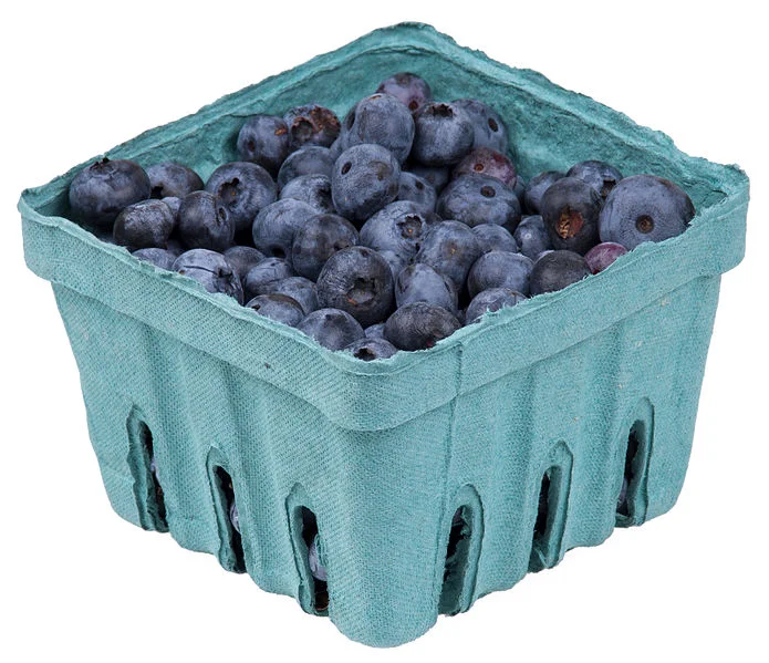 blueberries.jpg