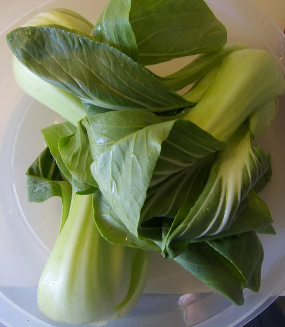 bokchoy.jpg