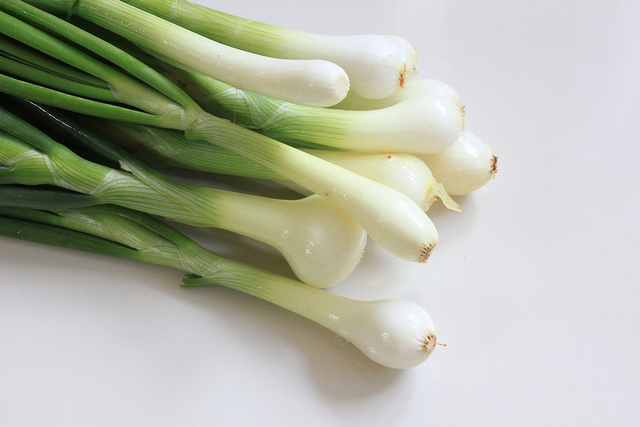Green Onions Farmer Foodshare,Nasturtium In Pots