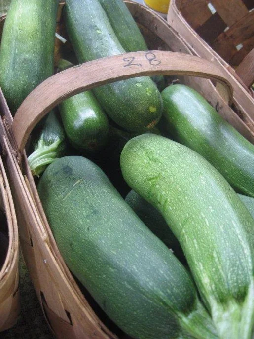 Copy+of+farmers_market_413-zucchini+copy.jpg